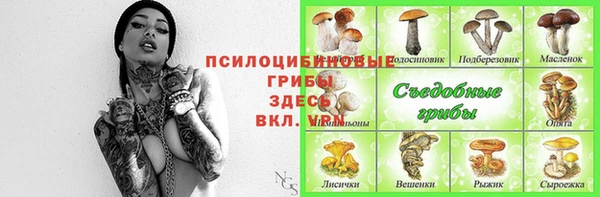 2c-b Михайлов