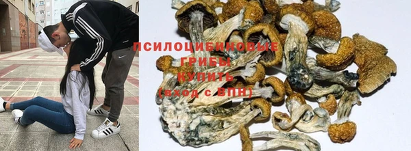 2c-b Михайлов