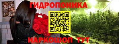 MDMA Кандалакша