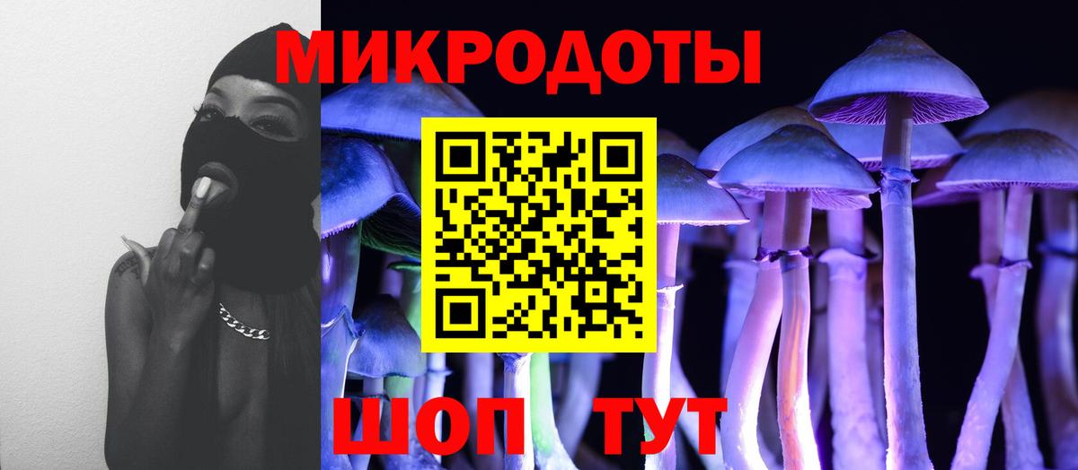 Чебаркуль  Псилоцибиновые грибы Magic Shrooms  Вход с VPN  Псилоцибиновые грибы Psilocybe 